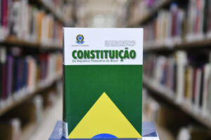 Imagem-07-Constituição